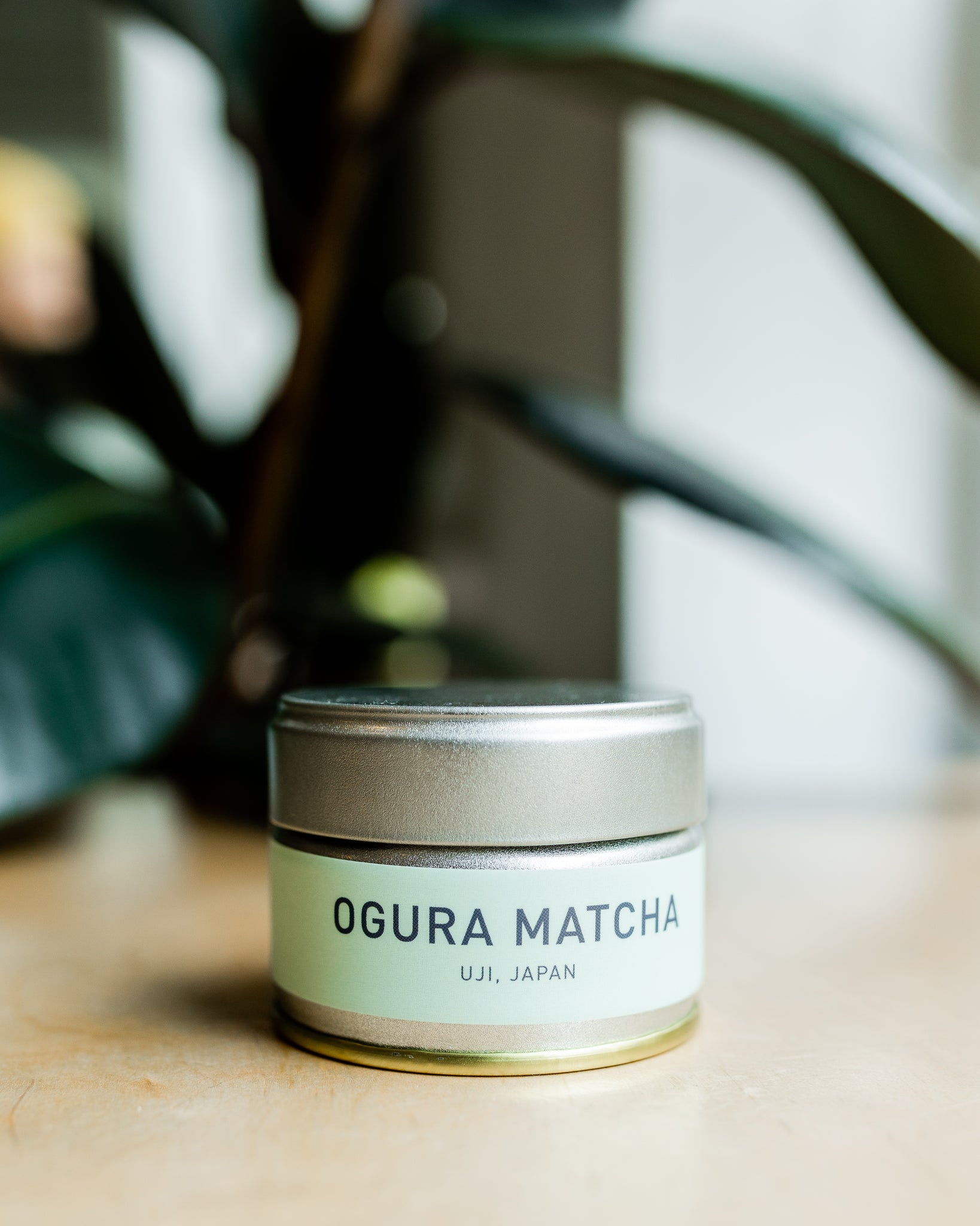 Ogura Matcha